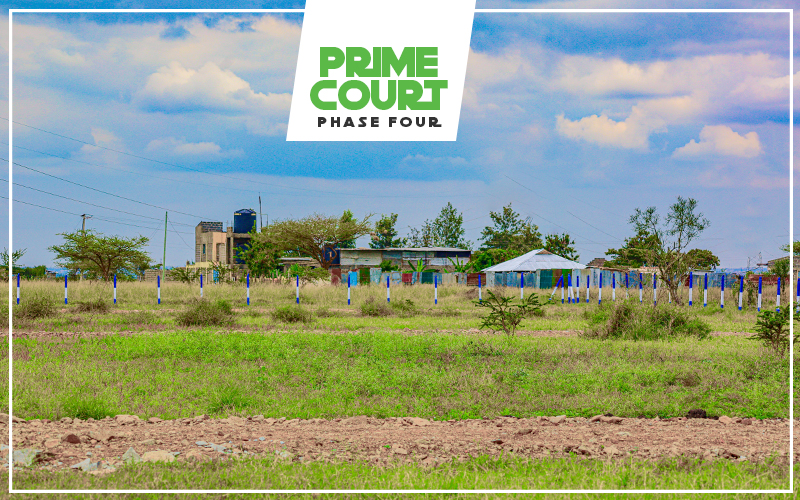 Prime Court Phase 4 — gallery